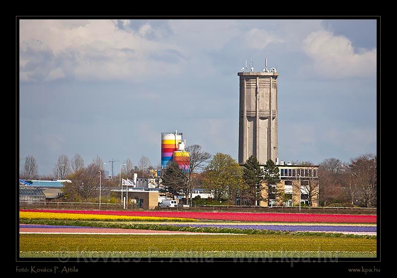 Keukenhof Hollandia 052.jpg